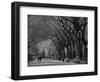 Central Park, New York City, Ny, USA-Walter Bibikow-Framed Photographic Print