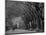 Central Park, New York City, Ny, USA-Walter Bibikow-Mounted Photographic Print