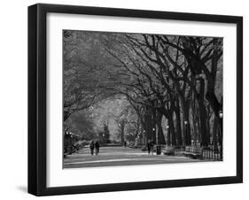 Central Park, New York City, Ny, USA-Walter Bibikow-Framed Premium Photographic Print