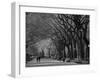 Central Park, New York City, Ny, USA-Walter Bibikow-Framed Premium Photographic Print