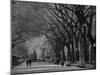 Central Park, New York City, Ny, USA-Walter Bibikow-Mounted Premium Photographic Print