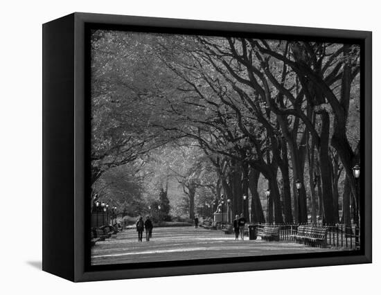 Central Park, New York City, Ny, USA-Walter Bibikow-Framed Stretched Canvas