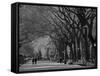 Central Park, New York City, Ny, USA-Walter Bibikow-Framed Stretched Canvas