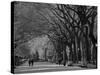 Central Park, New York City, Ny, USA-Walter Bibikow-Stretched Canvas