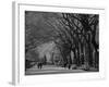 Central Park, New York City, Ny, USA-Walter Bibikow-Framed Photographic Print