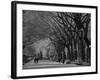 Central Park, New York City, Ny, USA-Walter Bibikow-Framed Photographic Print