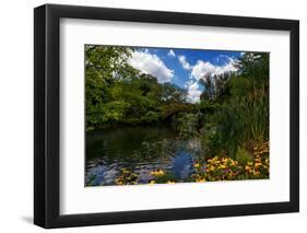 Central Park, New York City, United States of America, North America-Karen Deakin-Framed Photographic Print