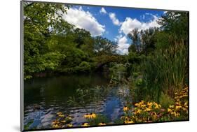 Central Park, New York City, United States of America, North America-Karen Deakin-Mounted Photographic Print