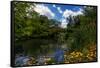 Central Park, New York City, United States of America, North America-Karen Deakin-Framed Stretched Canvas