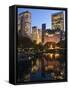 Central Park, New York City, USA-Demetrio Carrasco-Framed Stretched Canvas