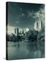 Central Park, New York City, USA-Walter Bibikow-Stretched Canvas