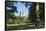 Central Park, New York City-Fraser Hall-Framed Stretched Canvas