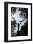 Central Park, New York City-Paul Souders-Framed Photographic Print