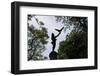 Central Park, New York City-Paul Souders-Framed Photographic Print