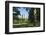 Central Park, New York City-Fraser Hall-Framed Photographic Print