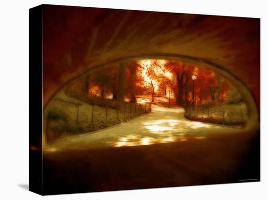 Central Park, no. 1-Katherine Sanderson-Stretched Canvas