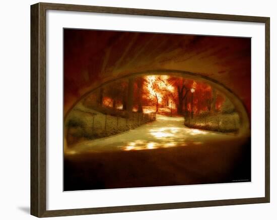 Central Park, no. 1-Katherine Sanderson-Framed Photographic Print