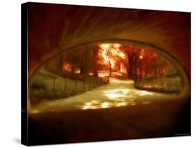 Central Park, no. 1-Katherine Sanderson-Stretched Canvas