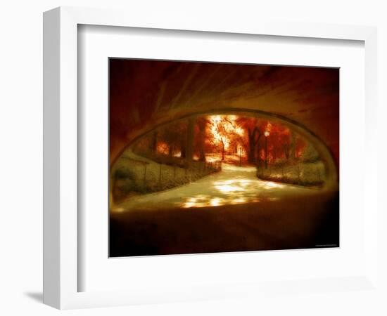 Central Park, no. 1-Katherine Sanderson-Framed Photographic Print