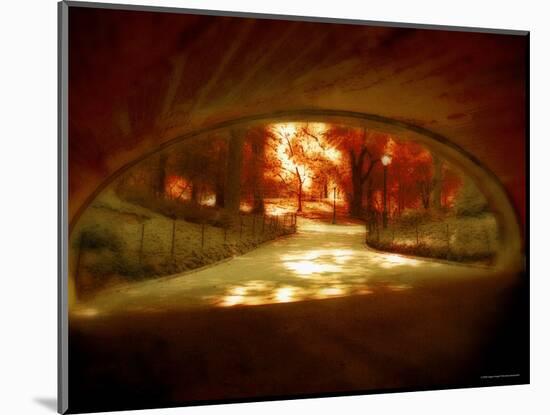 Central Park, no. 1-Katherine Sanderson-Mounted Photographic Print