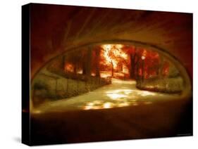 Central Park, no. 1-Katherine Sanderson-Stretched Canvas