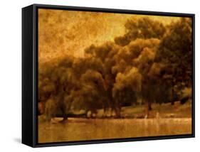 Central Park, no. 2-Katherine Sanderson-Framed Stretched Canvas