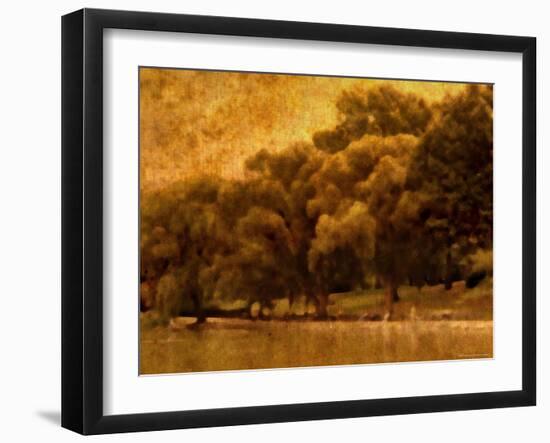 Central Park, no. 2-Katherine Sanderson-Framed Photographic Print