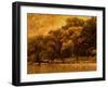 Central Park, no. 2-Katherine Sanderson-Framed Photographic Print