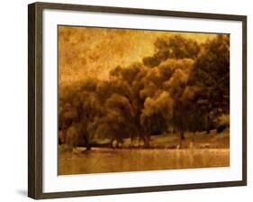 Central Park, no. 2-Katherine Sanderson-Framed Photographic Print