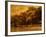 Central Park, no. 2-Katherine Sanderson-Framed Photographic Print