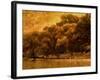 Central Park, no. 2-Katherine Sanderson-Framed Photographic Print