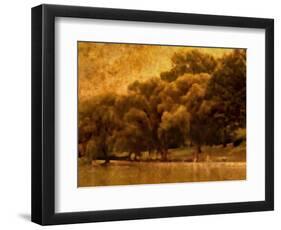 Central Park, no. 2-Katherine Sanderson-Framed Photographic Print