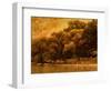 Central Park, no. 2-Katherine Sanderson-Framed Photographic Print