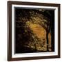 Central Park, no. 4-Katherine Sanderson-Framed Photographic Print