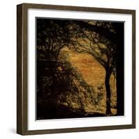 Central Park, no. 4-Katherine Sanderson-Framed Photographic Print