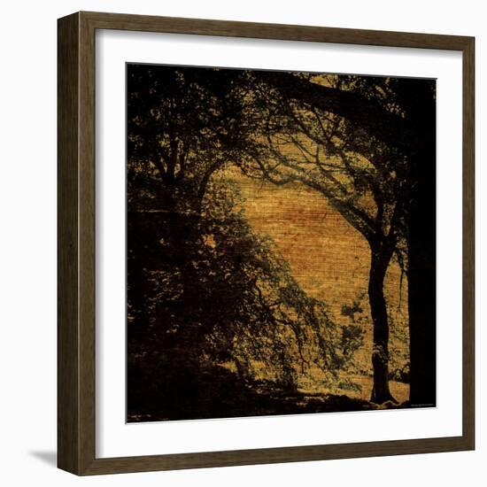 Central Park, no. 4-Katherine Sanderson-Framed Photographic Print