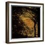 Central Park, no. 4-Katherine Sanderson-Framed Photographic Print