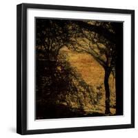 Central Park, no. 4-Katherine Sanderson-Framed Photographic Print