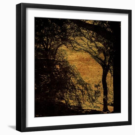 Central Park, no. 4-Katherine Sanderson-Framed Photographic Print