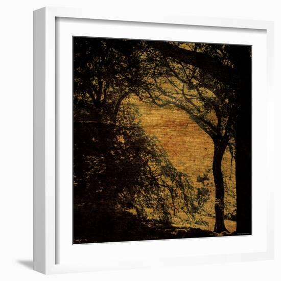 Central Park, no. 4-Katherine Sanderson-Framed Photographic Print