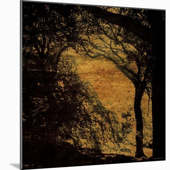 Central Park, no. 4-Katherine Sanderson-Mounted Photographic Print