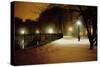 Central Park Nocturne in Snow, 2007-Max Ferguson-Stretched Canvas