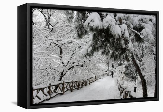 Central Park Path Deep Snow-Robert Goldwitz-Framed Stretched Canvas