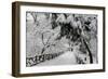 Central Park Path Deep Snow-Robert Goldwitz-Framed Premium Photographic Print