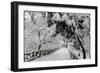 Central Park Path Deep Snow-Robert Goldwitz-Framed Premium Photographic Print