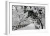 Central Park Path Deep Snow-Robert Goldwitz-Framed Premium Photographic Print