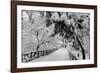 Central Park Path Deep Snow-Robert Goldwitz-Framed Photographic Print