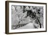 Central Park Path Deep Snow-Robert Goldwitz-Framed Photographic Print