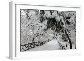 Central Park Path Deep Snow-Robert Goldwitz-Framed Photographic Print