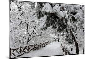 Central Park Path Deep Snow-Robert Goldwitz-Mounted Photographic Print